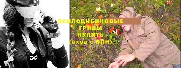 СК Богородицк