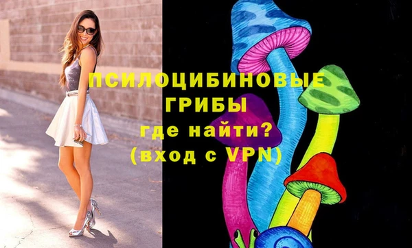 наркотики Богданович
