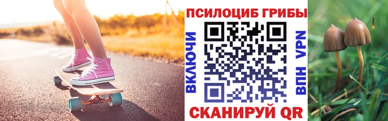 Псилоцибиновые грибы прущие грибы  Купить  Лениногорск 